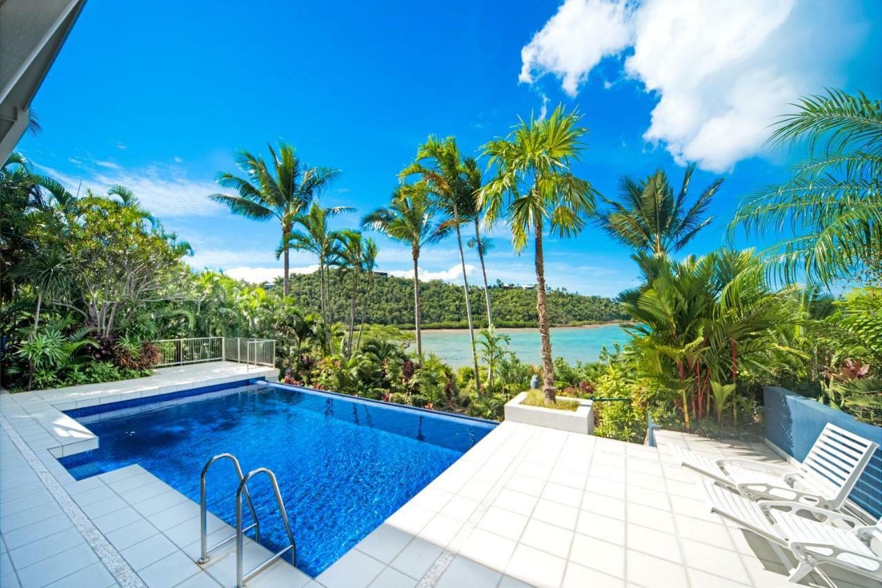 Baybliss Apartments Studio 1 Shute Harbour Ngoại thất bức ảnh